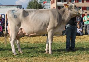141004Altdorf 203